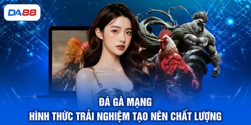 Đá Gà Mạng - Hình Thức Trải Nghiệm Tạo Nên Chất Lượng Đá Gà Mạng - Hình Thức Trải Nghiệm Tạo Nên Chất Lượng