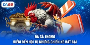 Đá Gà DA88 - Sảnh Cược Chọi Kê Trực Tiếp Đẳng Cấp Số 1