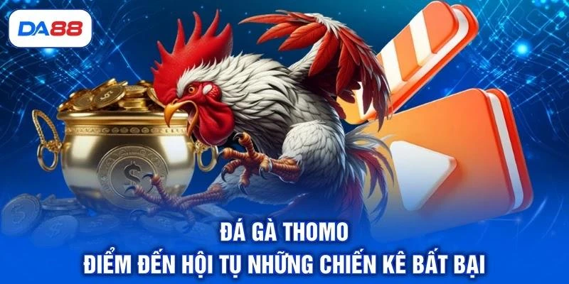 Đá Gà Thomo - Điểm Đến Hội Tụ Những Chiến Kê Bất Bại Đá Gà Thomo - Điểm Đến Hội Tụ Những Chiến Kê Bất Bại