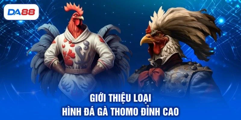 Đá Gà Thomo - Điểm Đến Hội Tụ Những Chiến Kê Bất Bại Đá Gà Thomo - Điểm Đến Hội Tụ Những Chiến Kê Bất Bại