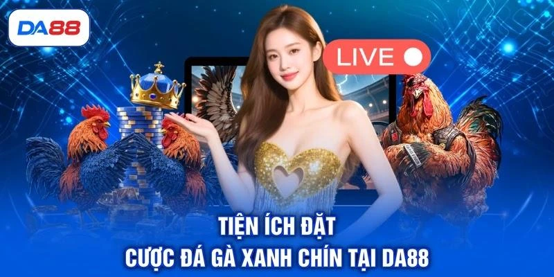 Đá Gà C2 - Giải Đấu Chuyên Nghiệp, Quy Tụ Chiến Kê Bất Bại Đá Gà C2 - Giải Đấu Chuyên Nghiệp, Quy Tụ Chiến Kê Bất Bại