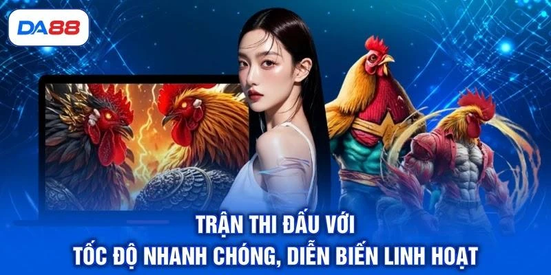 Đá Gà Thomo - Điểm Đến Hội Tụ Những Chiến Kê Bất Bại Đá Gà Thomo - Điểm Đến Hội Tụ Những Chiến Kê Bất Bại